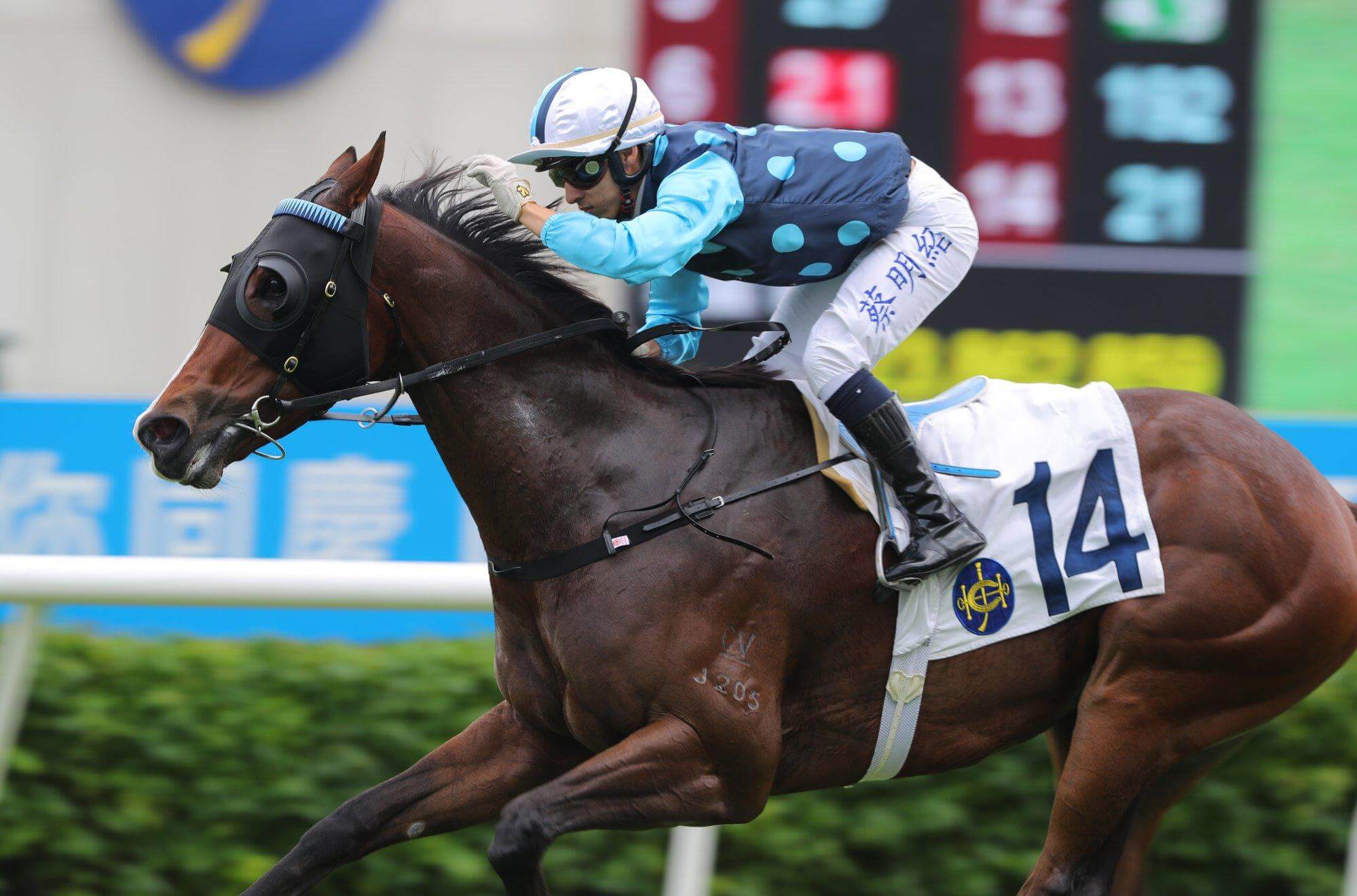 Mostbet Odds